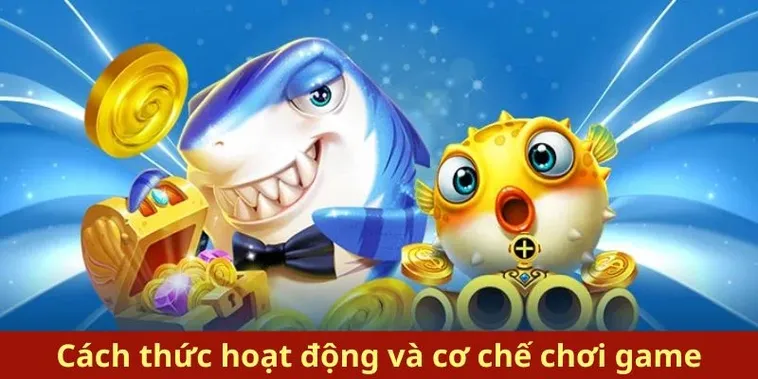 Hướng Dẫn Cách Chơi Bắn Cá Royal Fishing Tại FB88 Hiệu Quả Nhất