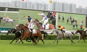 Hướng Dẫn Chi Tiết Và Bí Kíp Thắng Đậm Cá Cược Đua Ngựa FB88