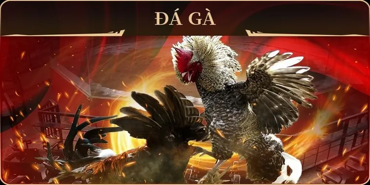 Hướng Dẫn Cách Chơi Đá Gà GA28 Tại FB88 Thắng Lớn Mỗi Ngày 2 Hướng Dẫn Cách Chơi Đá Gà GA28 Tại FB88 Thắng Lớn Mỗi Ngày